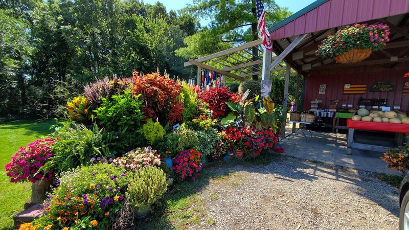 Seasonal Blooms That Change With the Calendar Seasonal Blooms That Change With the Calendar