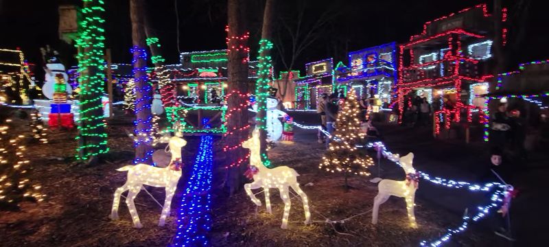 Seasonal Events That Give You a Reason to Return All Year