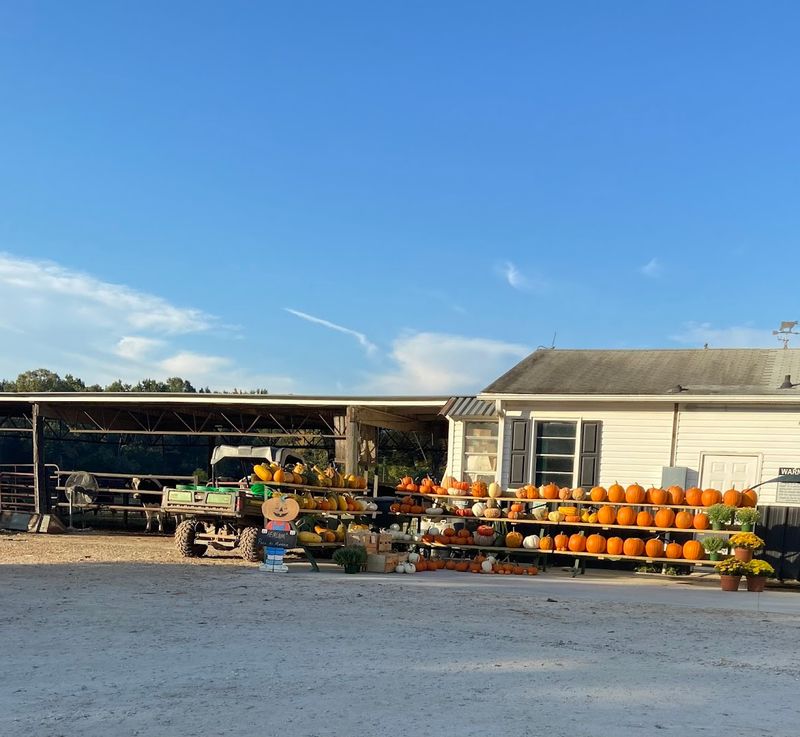Seasonal Events and Holiday Displays Worth Planning Around