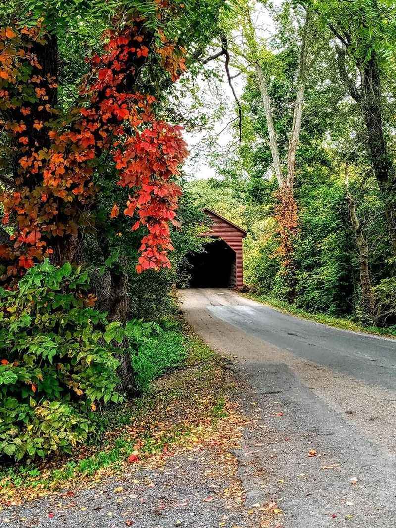 Seasons Change, But the Bridge Always Charms