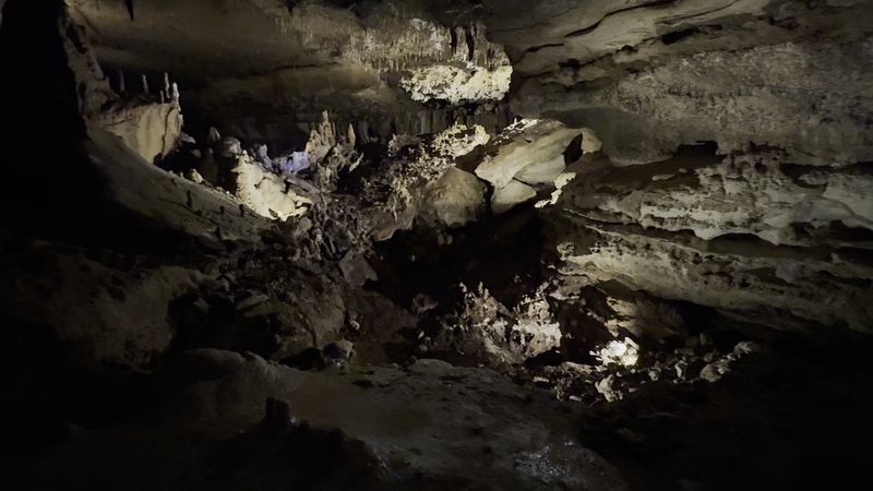 Seeing Live Bats Up Close Underground