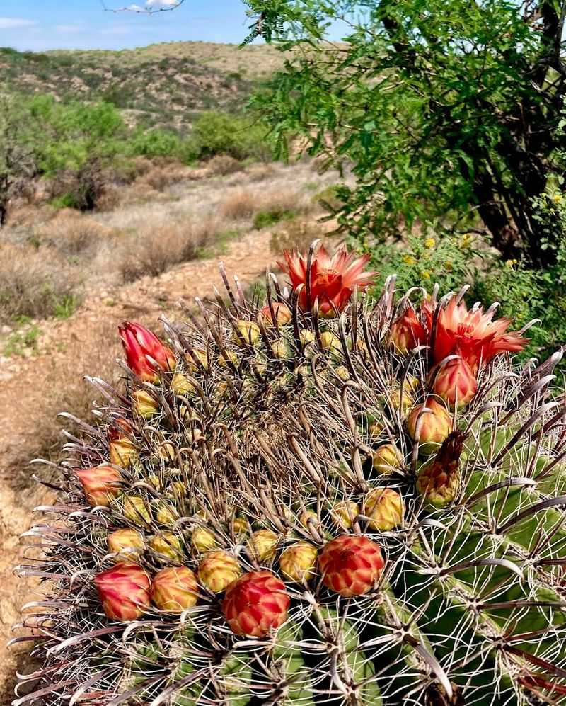 Self-Guided Geology Trail With Numbered Markers