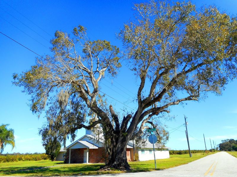 Seminole Cultural Heritage Shapes This Corner of Florida Seminole Cultural Heritage Shapes This Corner of Florida