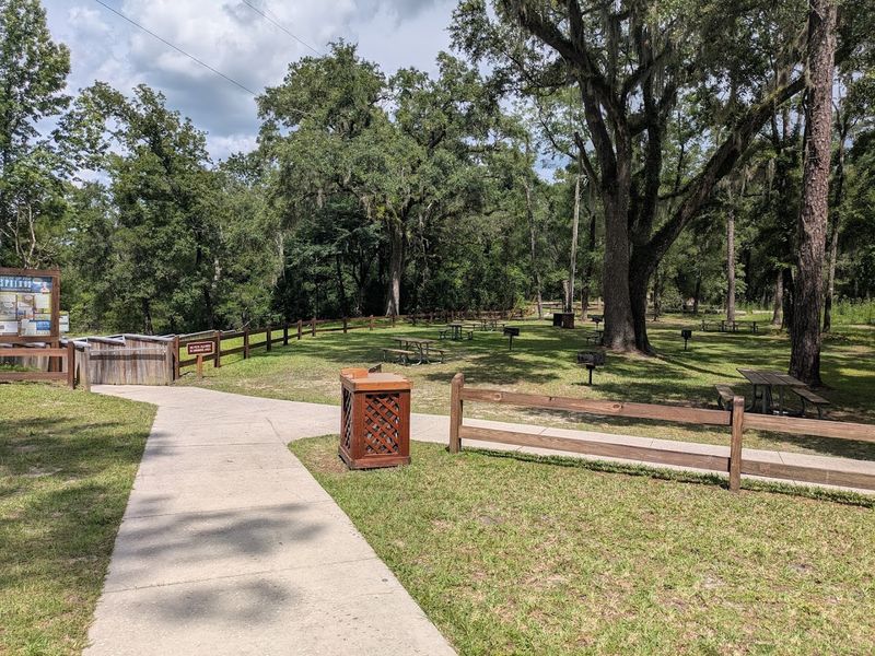 Shaded Picnic Area Perfect for a Relaxing Outdoor Lunch