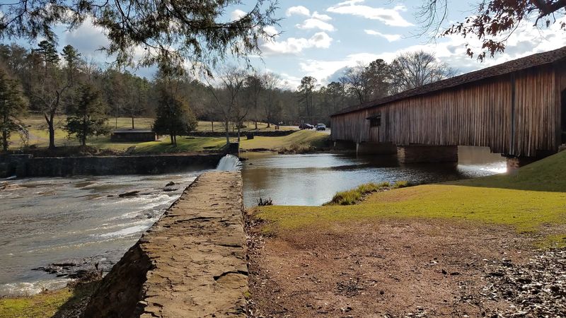 Shaded Picnic Areas Perfect for Families