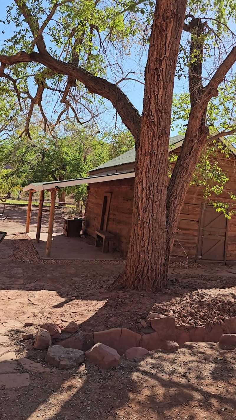 Shaded Picnic Areas Perfect for a Desert Lunch Break