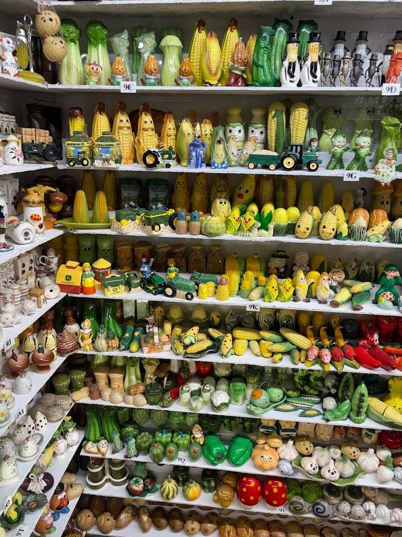 Shakers Organized Into Fascinating Categories