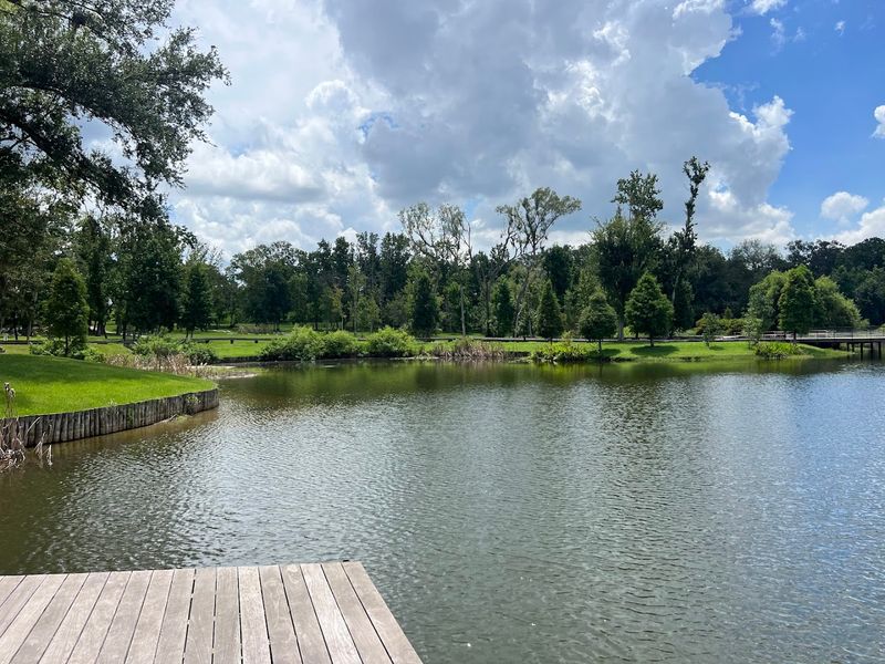 Shallow Stream and Lagoon Where Kids Can Splash Around