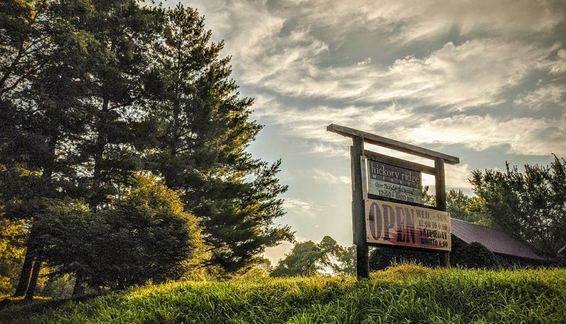 Shawnee Hills Wine Trail - Pomona, Illinois