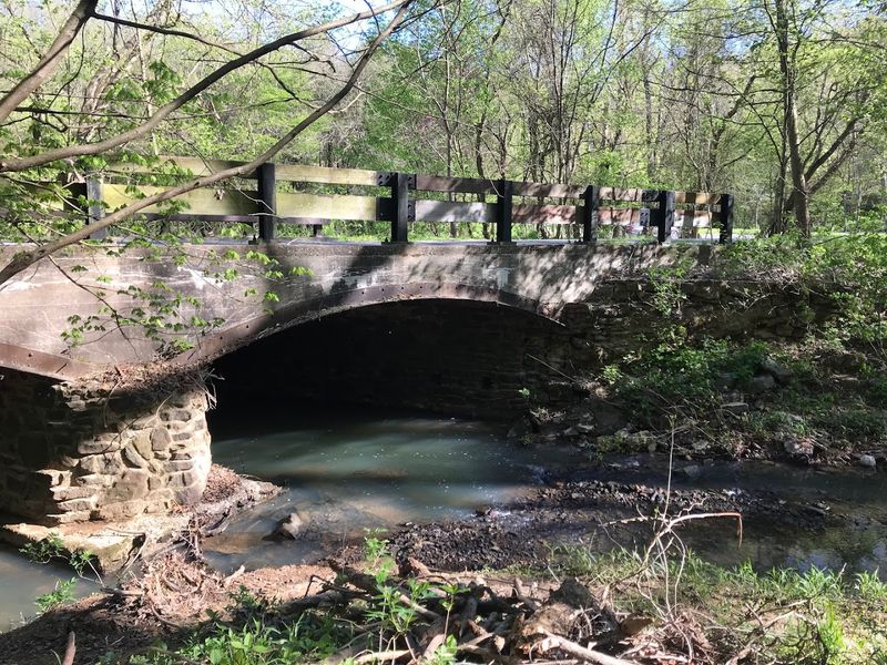 Shawnee National Forest Access and Outdoor Adventure