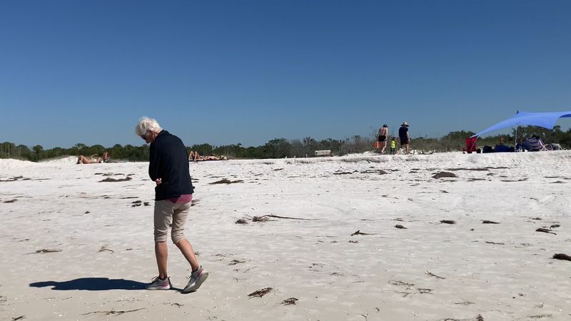 Shell Hunting on the Beach