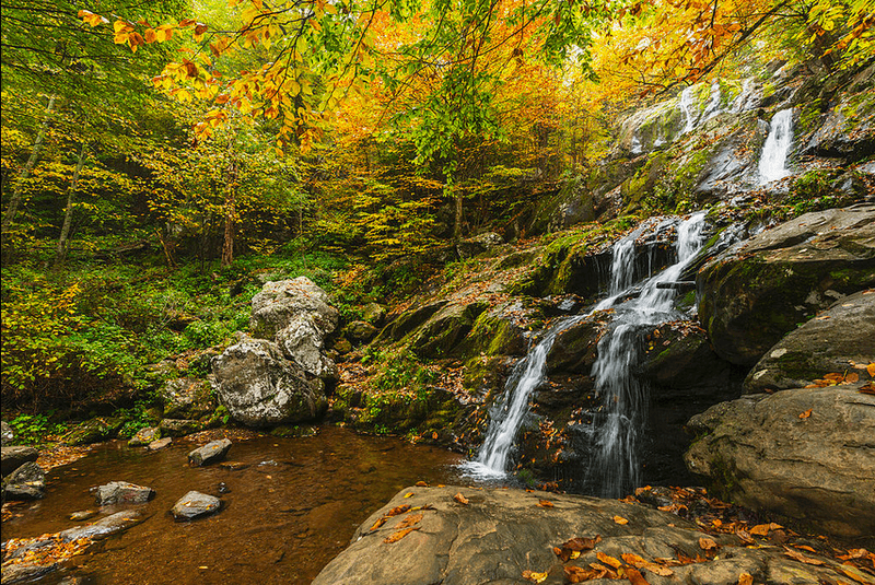 Shenandoah National Park - Luray, Virginia