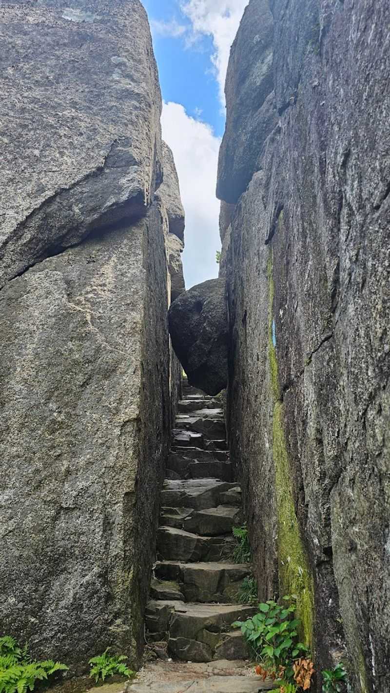 Shenandoah National Park - Virginia