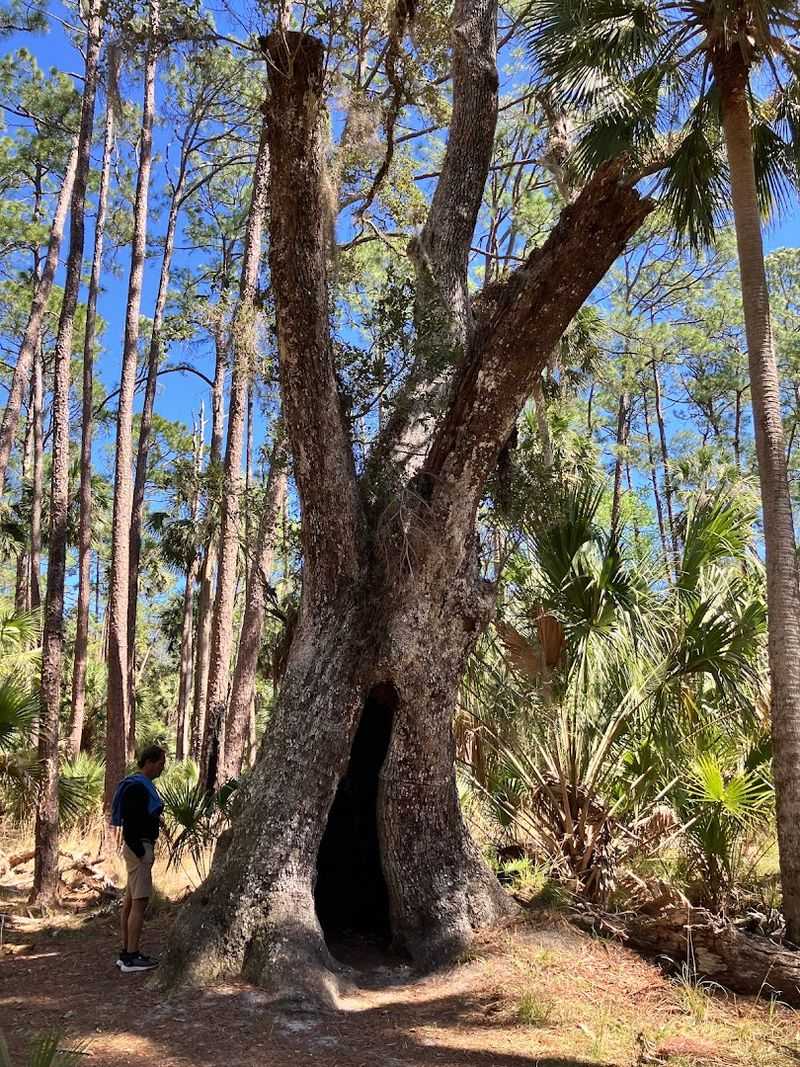 Six-Mile Hiking Trail for the More Adventurous Visitor