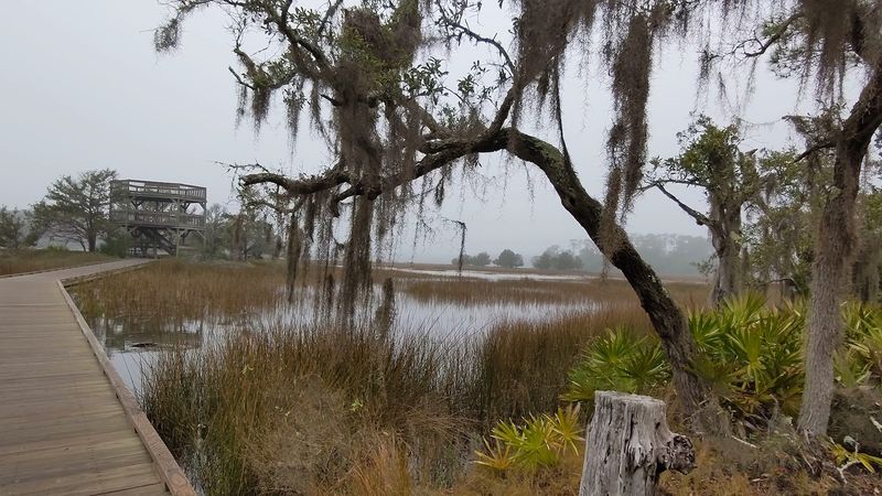 Skidaway Island State Park - Savannah, Georgia