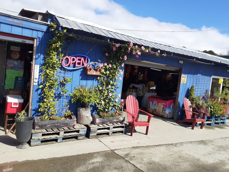 Smiley's Flea Market - Fletcher, North Carolina