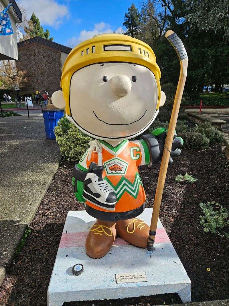 Snoopy's Home Ice Skating Rink Nearby