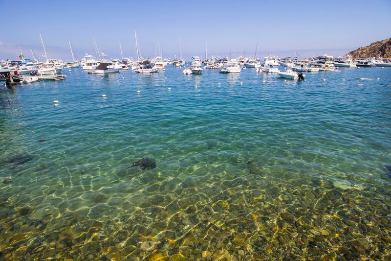 Snorkeling and Underwater Adventures in Crystal-Clear Waters