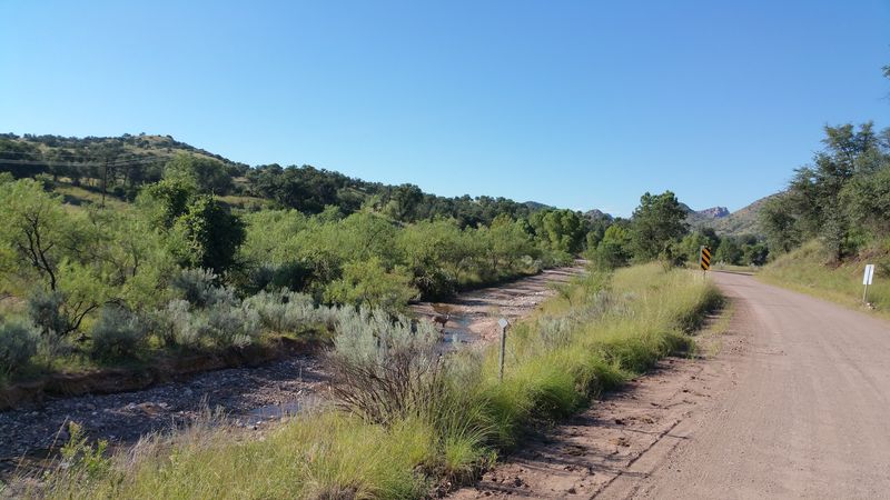 Sonoita Creek and Riparian Wildlife