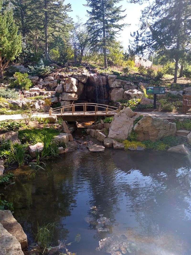 Soothing Water Features Throughout the Garden