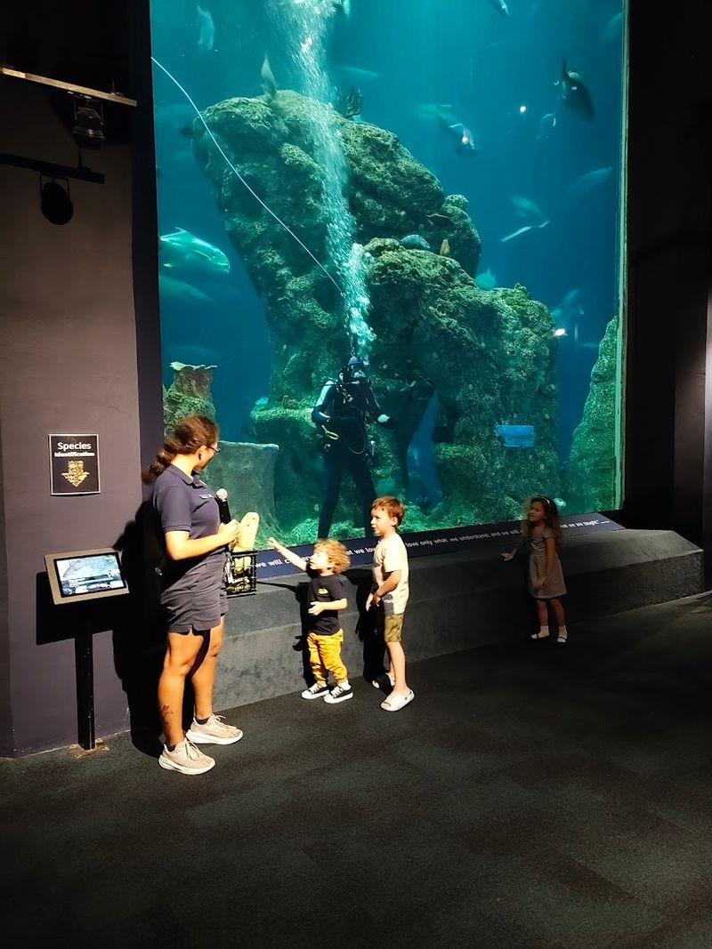 South Carolina Aquarium - Charleston, South Carolina