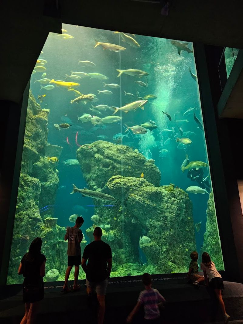 South Carolina Aquarium - Charleston, South Carolina