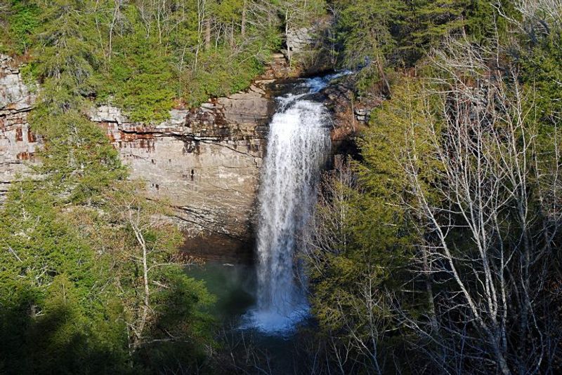 South Cumberland State Park (Fiery Gizzard Area) - Tracy City, Tennessee