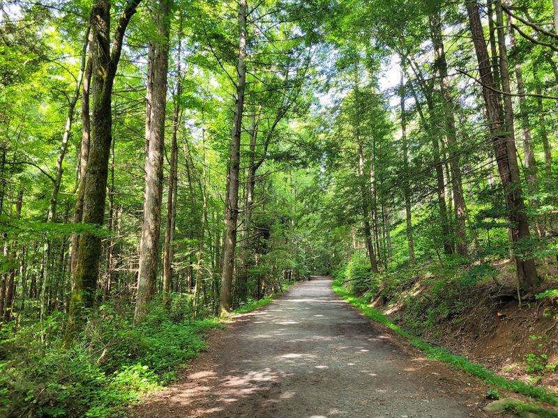 South Mountains State Park - Connelly Springs, North Carolina