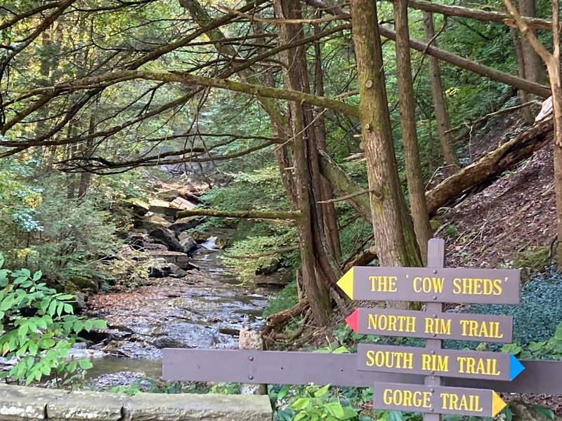 South Rim Trail for Scenic Moderate Hiking