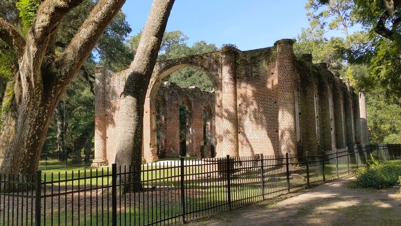 Spanish Moss and Ancient Oaks Create an Otherworldly Atmosphere