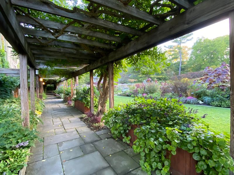 Specialty Gardens That Cater to Every Interest