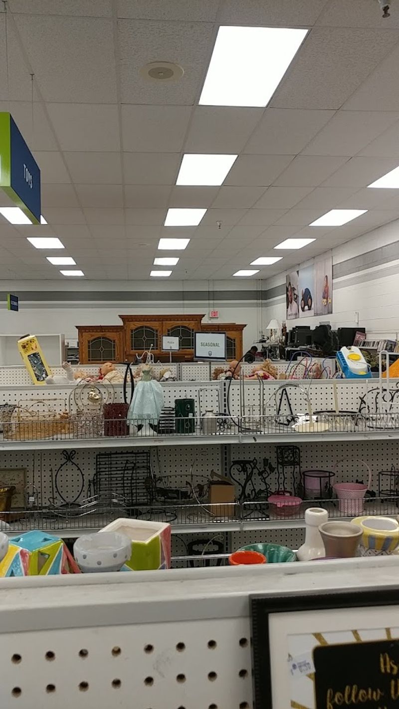 Specialty and Collectible Items That Surprise Shoppers