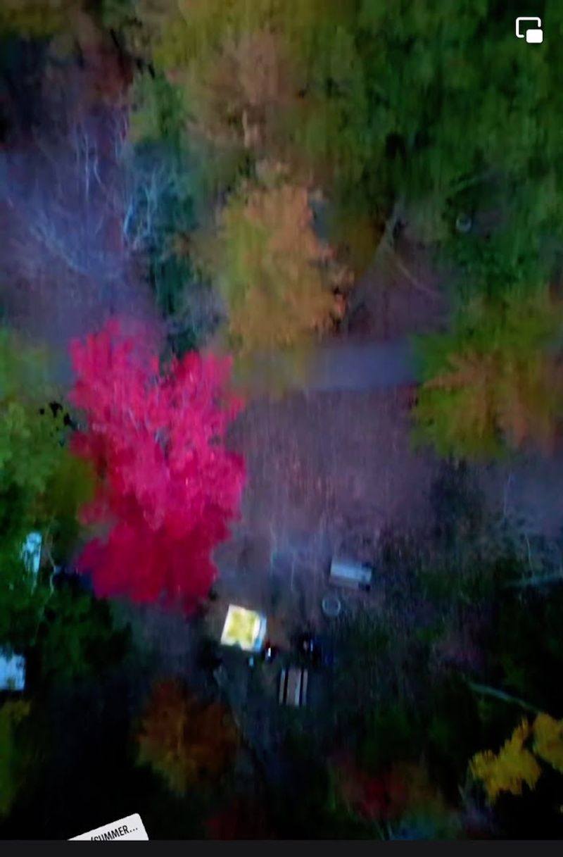 Spectacular Fall Colors That Peak in Late October