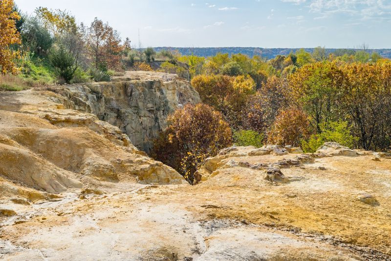 Spectacular Fall Foliage That Transforms the Park