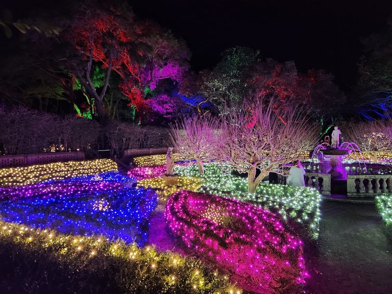 Spectacular Winter Lights Display That Transforms the Garden
