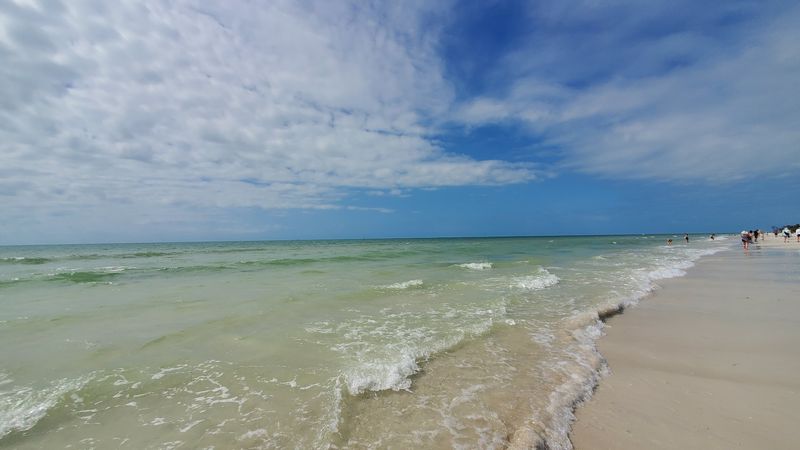 Spotting Dolphins from the Shore