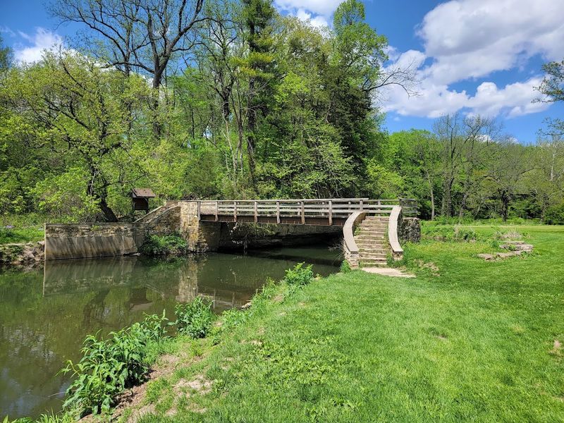 Spring Blooms and Year-Round Beauty That Never Gets Old
