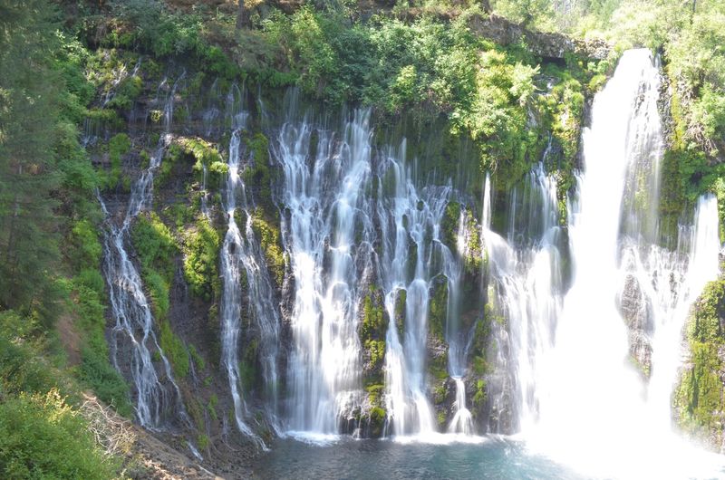 Spring-Fed Water That Flows Year-Round