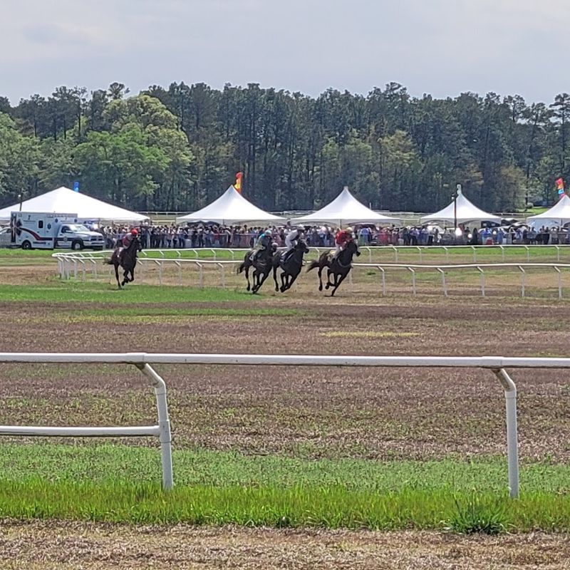 Springdale Race Course and Steeplechase Tradition