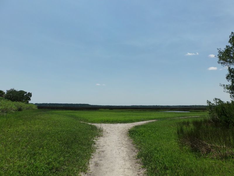 St. Marks National Wildlife Refuge - St. Marks, Florida