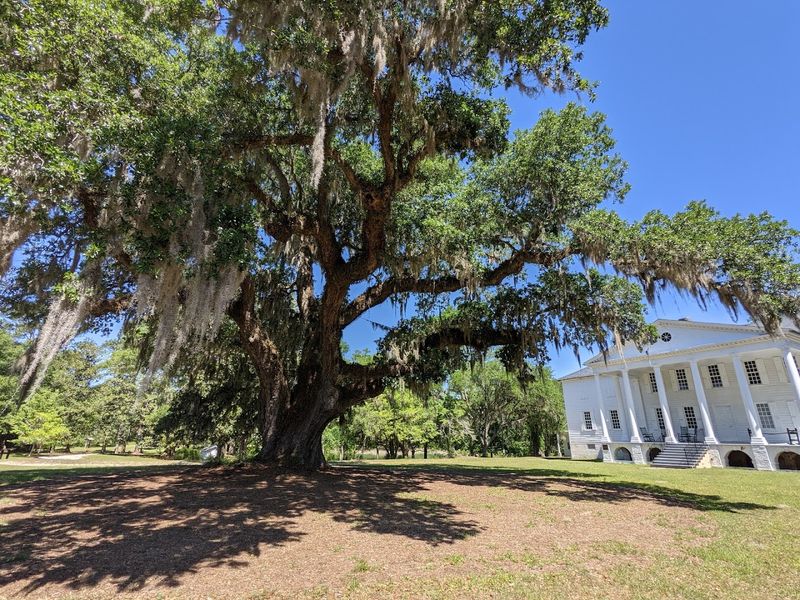 Stargazing at One of South Carolina's Darkest Skies