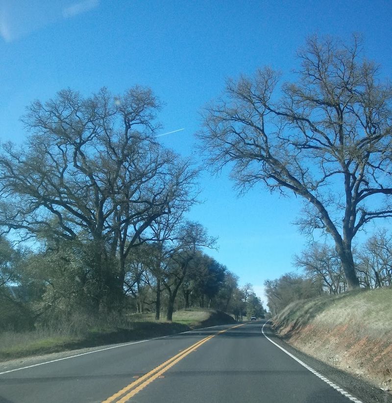 State Route 49 Scenic Drive