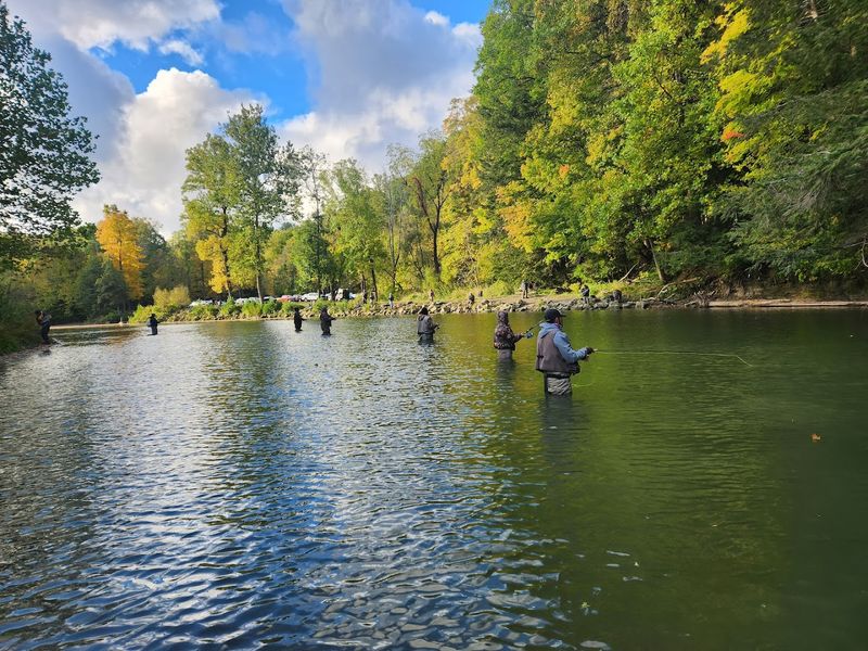 Steelhead Fishing at Elk Creek Access Area