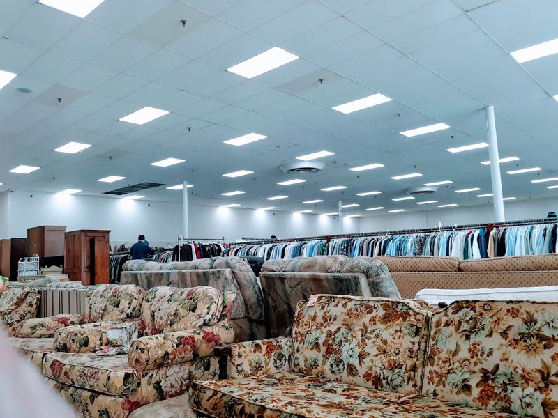 Store Organization and Layout