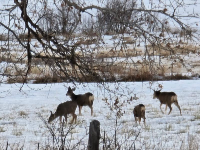 Strategic Location for Exploring Southern Colorado