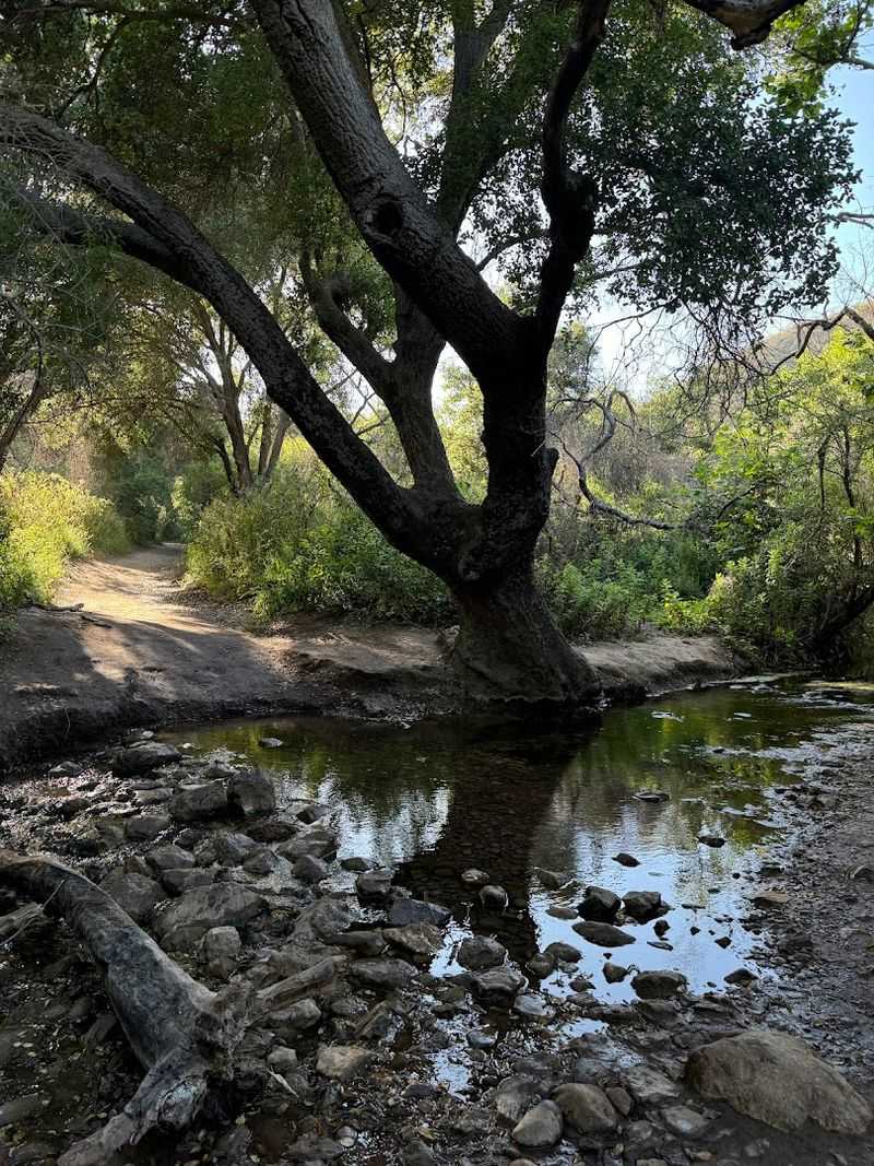 Stream Crossings Along the Way: What to Expect
