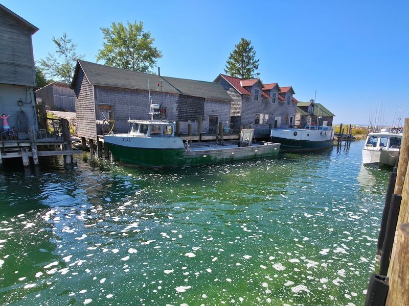 Stroll Along the Scenic Leland River Waterfront