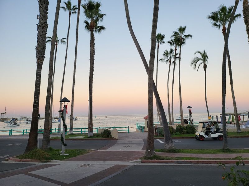 Strolling Along the Charming Crescent Avenue Waterfront
