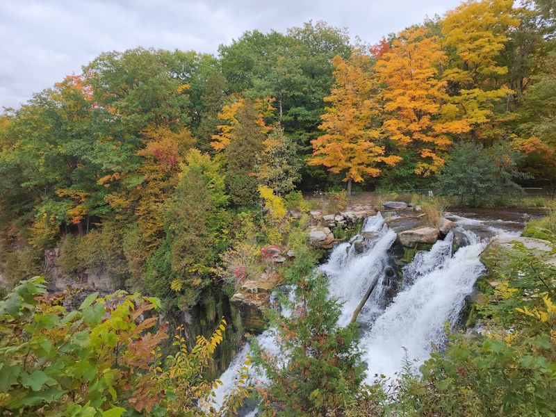 Stunning Fall Foliage Frames the Gorge Beautifully