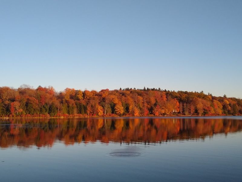 Stunning Fall Foliage That Transforms the Entire Park Stunning Fall Foliage That Transforms the Entire Park